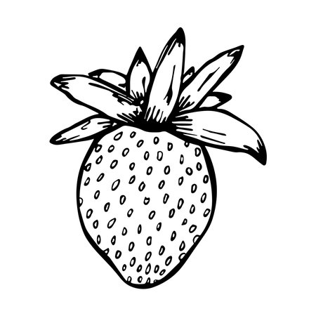 Vector strawberry clipart. hand drawn berry icon. fruit illustration. For print, web, design, decorのイラスト素材