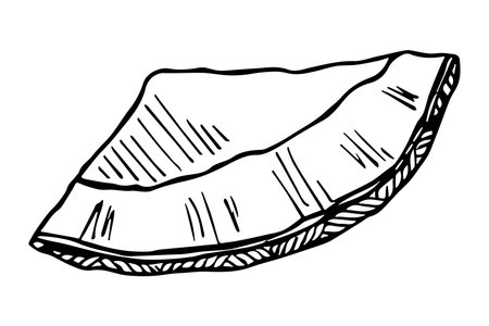 Coconut cliparts. Hand drawn nut icon. tropical illustration. For print, web, design, decorのイラスト素材