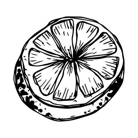 Vector lemon clipart Hand drawn citrus icon Fruit illustration For print, web, design, decorのイラスト素材