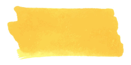 Vector paint brush spot, hand painted background, watercolor dab clipartのイラスト素材