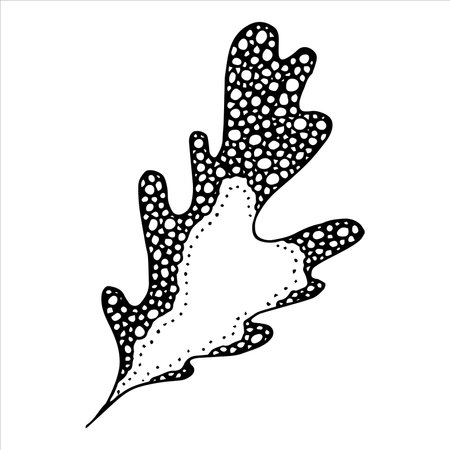 Hand drawn oak leaf. Autumn illustration for print, web, design, decor. Detailed botanical clipartのイラスト素材