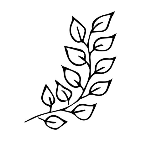 Hand drawn vector tree branch. Cute herb clipart. Botanical illustrationのイラスト素材
