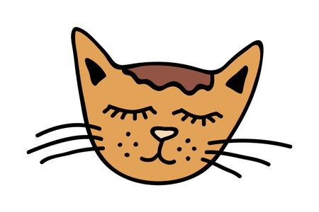 Hand drawn cat muzzle clipart. Cute pet face doodleのイラスト素材