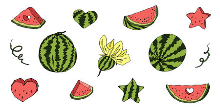 Cute vector set of watermelon clipart. Hand drawn watermelon icon. Fruit illustration.