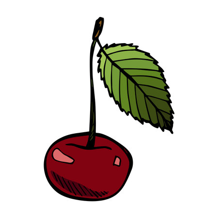 Vector cherry clipart. Hand drawn berry icon. Fruit illustrationのイラスト素材