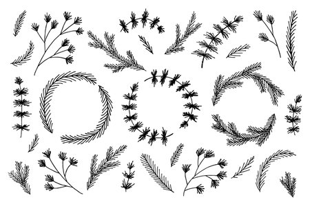 Hand drawn spruce branches. Twig of coniferous tree doodle set. Christmas and winter design elementsのイラスト素材
