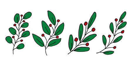 Hand drawn branch with berries clipart. Christmas doodle set. Winter design elementsのイラスト素材