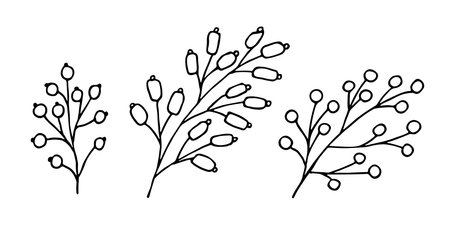 Hand drawn branch with berries clipart. Christmas doodle set. Winter design elementsのイラスト素材