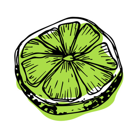 Vector lime clipart. Hand drawn citrus icon. Fruit illustration. For print, web, design, decorのイラスト素材