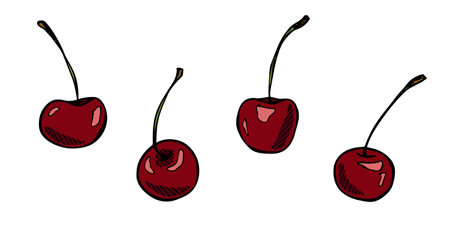 Vector cherry clipart. Hand drawn berry icon. Set of fruit illustration