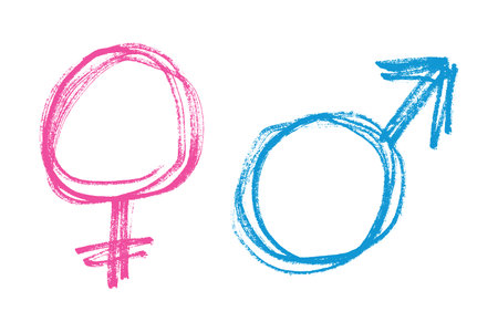 Hand drawn female and male gender identity sign Symbol used to represent sex and gender Single element for print, web, design, decorのイラスト素材