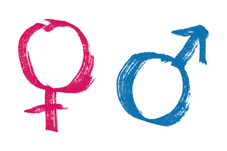 Hand drawn female and male gender identity sign Symbol used to represent sex and gender Single element for print, web, design, decorのイラスト素材