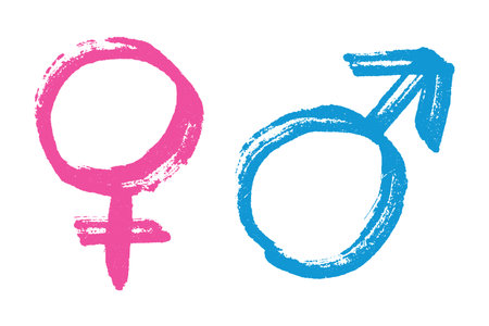 Hand drawn female and male gender identity sign Symbol used to represent sex and gender Single element for print, web, design, decorのイラスト素材