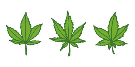 Set of hand drawn cannabis leaf Medicine marijuana Hemp leaves clipart in doodle style Single element for print, web, design, decorのイラスト素材
