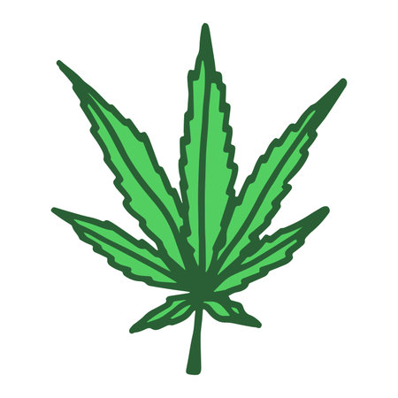 Hand drawn cannabis leaf Medicine marijuana Hemp leaves clipart in doodle style Single element for print, web, design, decorのイラスト素材