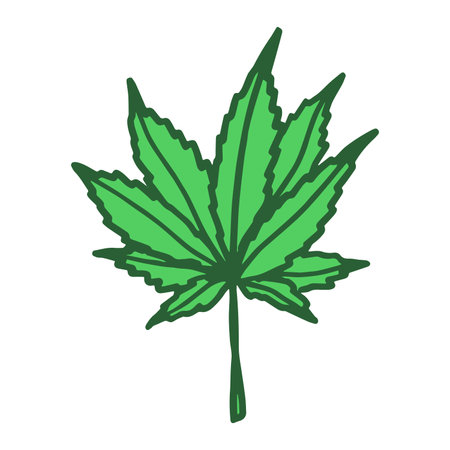 Hand drawn cannabis leaf Medicine marijuana Hemp leaves clipart in doodle style Single element for print, web, design, decorのイラスト素材
