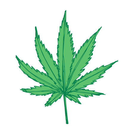 Hand drawn cannabis leaf Medicine marijuana Hemp leaves clipart in doodle style Single element for print, web, design, decorのイラスト素材