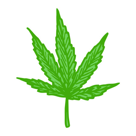 Hand drawn cannabis leaf Medicine marijuana Hemp leaves clipart in doodle style Single element for print, web, design, decorのイラスト素材