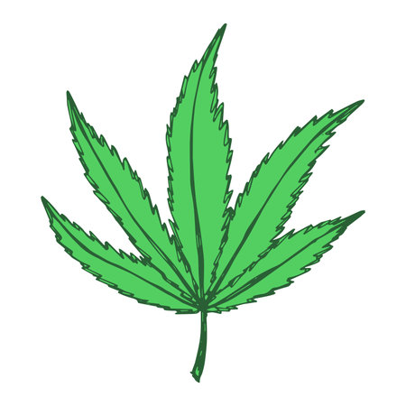 Hand drawn cannabis leaf Medicine marijuana Hemp leaves clipart in doodle style Single element for print, web, design, decorのイラスト素材