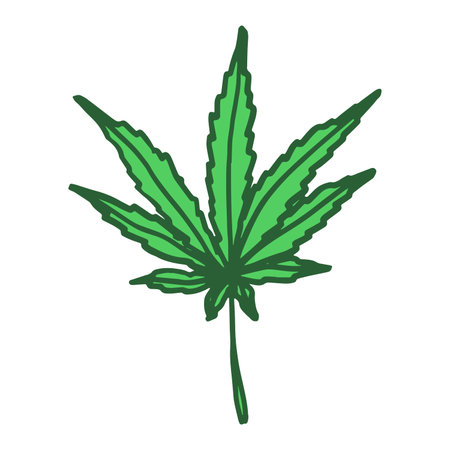 Hand drawn cannabis leaf Medicine marijuana Hemp leaves clipart in doodle style Single element for print, web, design, decorのイラスト素材