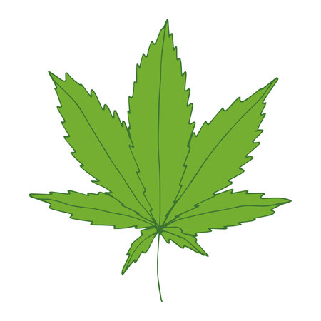 Hand drawn cannabis leaf Medicine marijuana Hemp leaves clipart in doodle style Single element for print, web, design, decorのイラスト素材