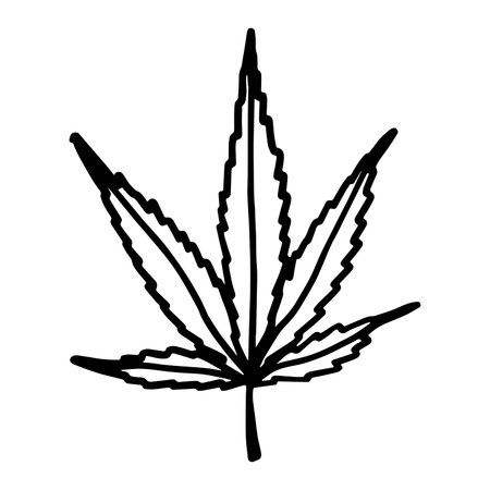 Hand drawn cannabis leaf Medicine marijuana Hemp leaves clipart in doodle style Single element for print, web, design, decorのイラスト素材