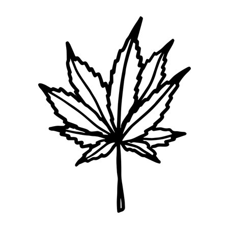 Hand drawn cannabis leaf Medicine marijuana Hemp leaves clipart in doodle style Single element for print, web, design, decorのイラスト素材