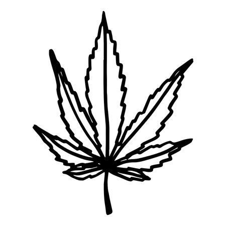 Hand drawn cannabis leaf Medicine marijuana Hemp leaves clipart in doodle style Single element for print, web, design, decorのイラスト素材