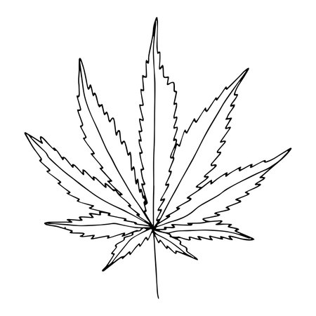 Hand drawn cannabis leaf Medicine marijuana Hemp leaves clipart in doodle style Single element for print, web, design, decorのイラスト素材