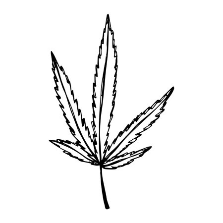 Hand drawn cannabis leaf Medicine marijuana Hemp leaves clipart in doodle style Single element for print, web, design, decorのイラスト素材