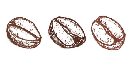 Set of hand drawn fresh roasted coffee bean Arabica robusta seed doodle Single element for design print packaging label decorのイラスト素材