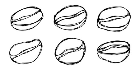 Set of hand drawn fresh roasted coffee bean Arabica robusta seed doodle Single element for design print packaging label decorのイラスト素材