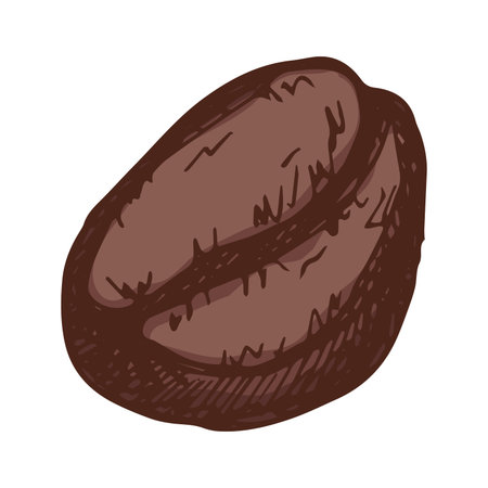 Hand drawn fresh roasted coffee bean Arabica robusta seed doodle Single element for print, web, design, decorのイラスト素材