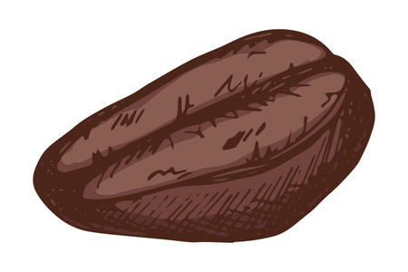Hand drawn fresh roasted coffee bean Arabica robusta seed doodle Single element for print, web, design, decorのイラスト素材