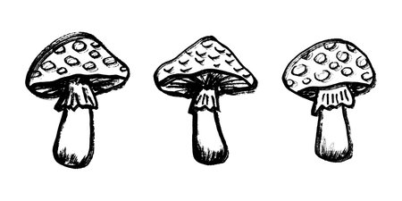 Hand drawn mushroom doodle set Botanical illustration Cute autumn mushroom Healthy eco food Organic vegetarian food For stickers, greeting card, design, print, packaging, decor, kids booksのイラスト素材