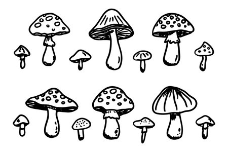 Hand drawn mushroom doodle set Botanical illustration Cute autumn mushroom Healthy eco food Organic vegetarian food For stickers, greeting card, design, print, packaging, decor, kids booksのイラスト素材