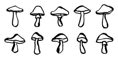 Hand drawn mushroom doodle set Botanical illustration Cute autumn mushroom Healthy eco food Organic vegetarian food For stickers, greeting card, design, print, packaging, decor, kids booksのイラスト素材