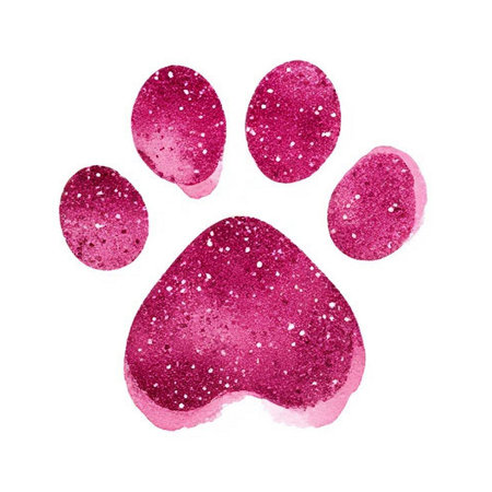 Watercolor cat's paw print Colorful Ñat, dog, animal footprint Single element for design