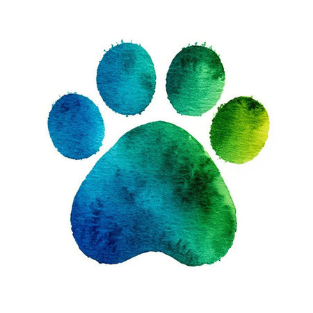 Watercolor cat's paw print Colorful Ñat, dog, animal footprint Single element for design