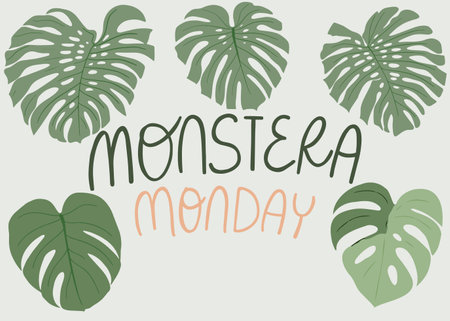 Vector set with Monstera palm leaves and text Monstera Monday isolated on soft green backgroundのイラスト素材