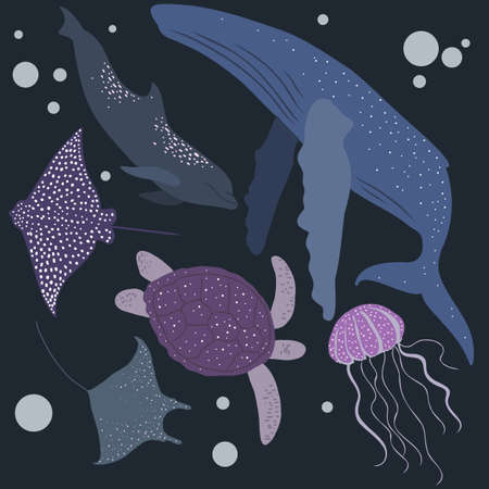 Set of sea animals like whale, dolphin, stingrays, turtle and jelly fish isolated on dark backgroundのイラスト素材