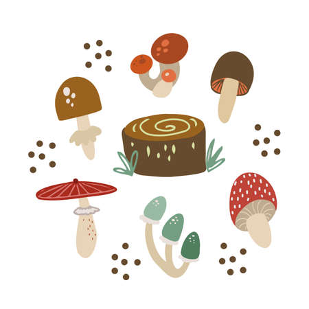 Set of hand drawn vector clip art with cute different mushrooms and a forest stumpのイラスト素材