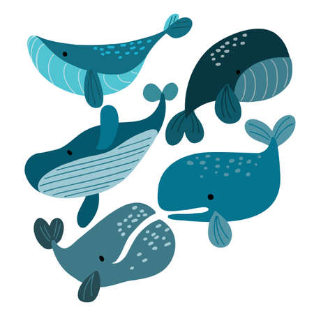 Set of vector clip art with cute Atlantic whales - Blue Whale, Cachalot, bowhead whaleのイラスト素材