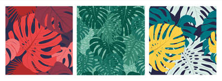 Set of three vector seamless patterns with Monstera plant palm leaves in multiple colors and shapes