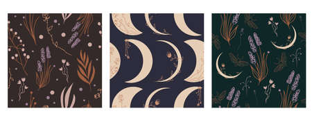 Set of three vector seamless patterns with celestial crescent moons, dry herbs and plants, spiritual themeのイラスト素材