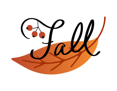 Hand drawn vector poster or card with autumn leaf and lettering Fall decorated with rowanberryのイラスト素材
