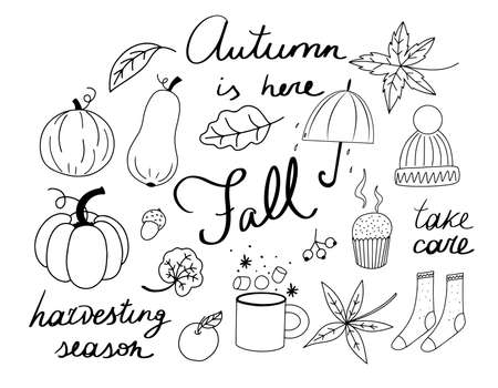Set of autumn line art icons with hand drawn letterings - Autumn is here, Fall, take care and harvesting season. Pumpkins, hot chocolate, warm socks, falling leaves and umbrellaのイラスト素材