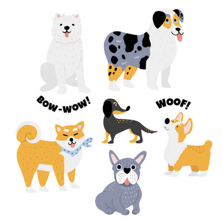 Vector set of cute doodle different breeds dogsのイラスト素材