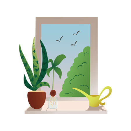 Scene with windowsill with sansevieria snake plant in pot, avocado sprouted seed and water can. View from window on summer morning. Vector illustration isolated on white backgroundのイラスト素材