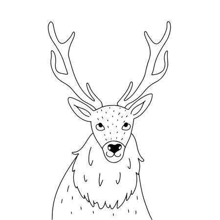 Hand drawn linear deer, drawn in outlined doodle style, isolated on white background vector illustrationのイラスト素材